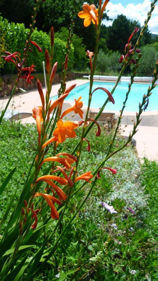 Bed And Breakfast La Maison De Nathalie Les Mayons Εξωτερικό φωτογραφία